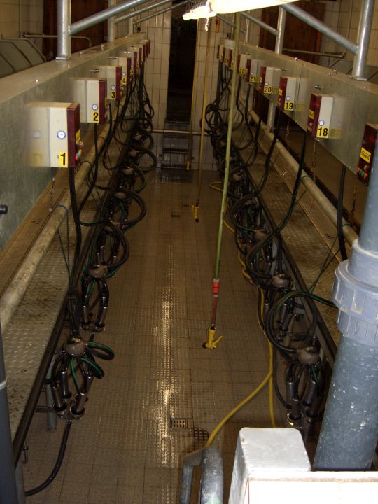 Melkstanderweiterung von 5 auf 8 Plätze