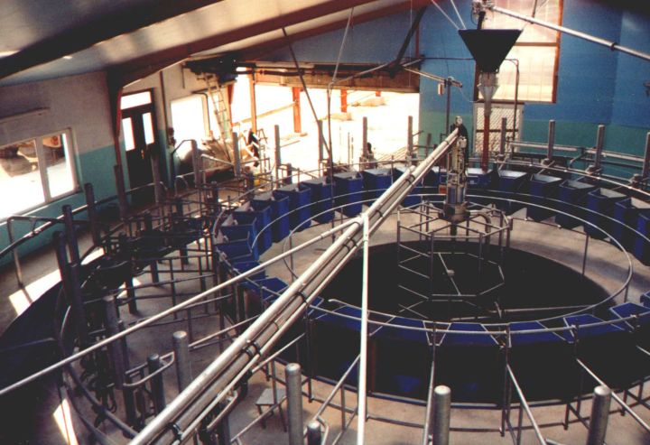 Schwimmendes Melkkarussell mit 32 Plätzen und automatischer Melkstandfütterung