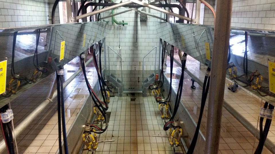 melkstand FGM Edelstahl poliert mit AFS3