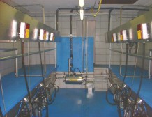 Fischgrätenmelkstand mit Milchmengenmessung und automatischer Abnahme