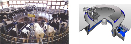 schwimmendes Melkkarussell ohne Lagerprobleme weil es auf Wasser schwimmt